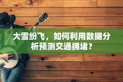 大雪纷飞，如何利用数据分析预测交通拥堵？