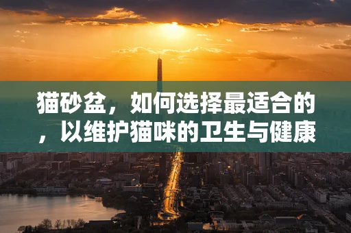 猫砂盆，如何选择最适合的，以维护猫咪的卫生与健康？