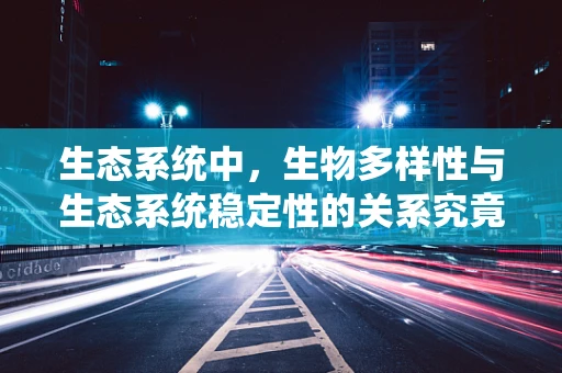 生态系统中，生物多样性与生态系统稳定性的关系究竟有多深？