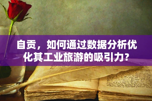 自贡，如何通过数据分析优化其工业旅游的吸引力？