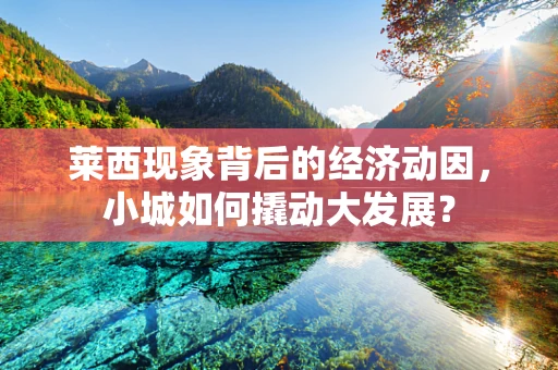 莱西现象背后的经济动因，小城如何撬动大发展？