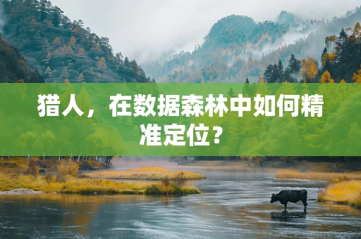猎人，在数据森林中如何精准定位？