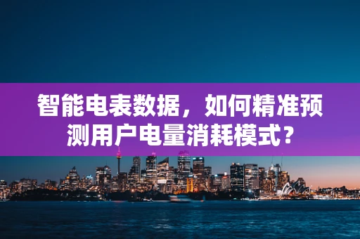 智能电表数据，如何精准预测用户电量消耗模式？