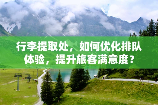 行李提取处，如何优化排队体验，提升旅客满意度？