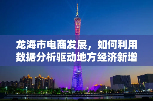 龙海市电商发展，如何利用数据分析驱动地方经济新增长？