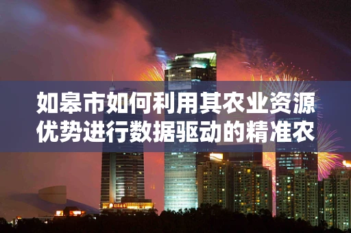 如皋市如何利用其农业资源优势进行数据驱动的精准农业发展？