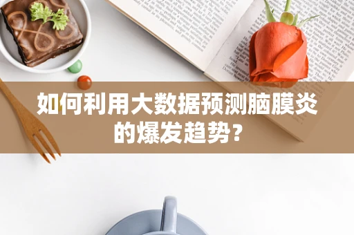 如何利用大数据预测脑膜炎的爆发趋势？
