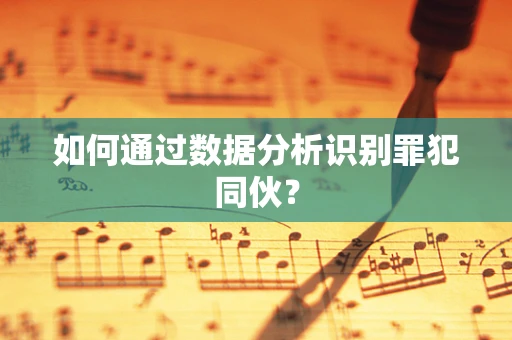 如何通过数据分析识别罪犯同伙？