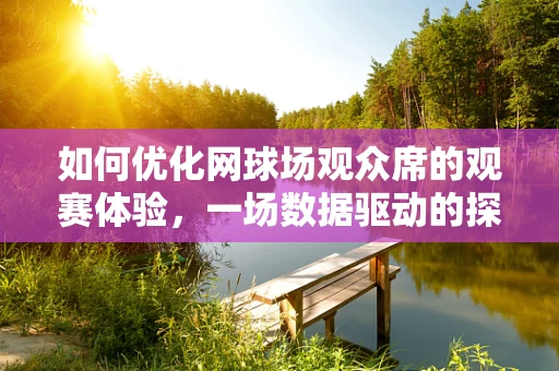 如何优化网球场观众席的观赛体验，一场数据驱动的探索