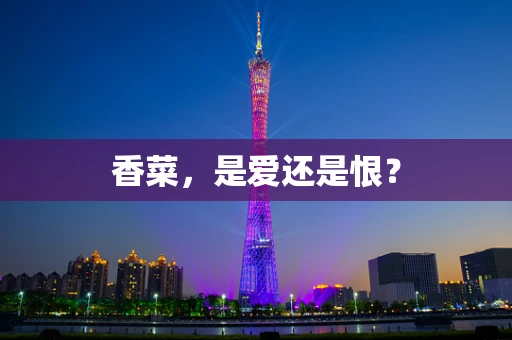 香菜，是爱还是恨？