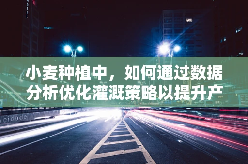 小麦种植中，如何通过数据分析优化灌溉策略以提升产量？