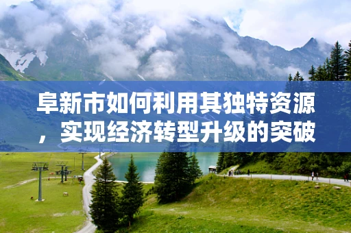 阜新市如何利用其独特资源，实现经济转型升级的突破？