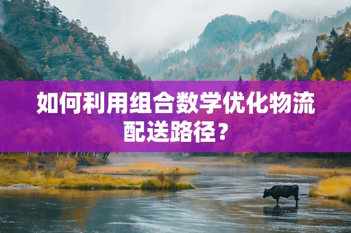 如何利用组合数学优化物流配送路径？