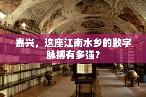 嘉兴，这座江南水乡的数字脉搏有多强？