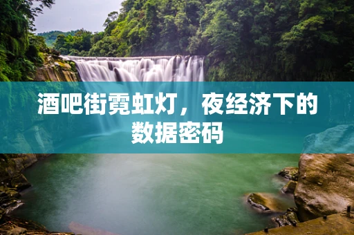 酒吧街霓虹灯，夜经济下的数据密码