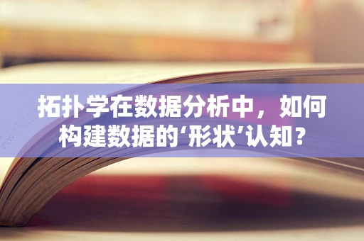 拓扑学在数据分析中，如何构建数据的‘形状’认知？