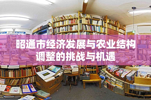 昭通市经济发展与农业结构调整的挑战与机遇