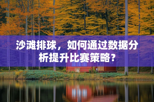 沙滩排球，如何通过数据分析提升比赛策略？