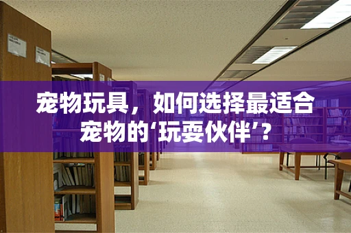 宠物玩具，如何选择最适合宠物的‘玩耍伙伴’？