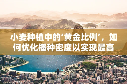 小麦种植中的‘黄金比例’，如何优化播种密度以实现最高产？