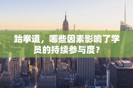 跆拳道，哪些因素影响了学员的持续参与度？