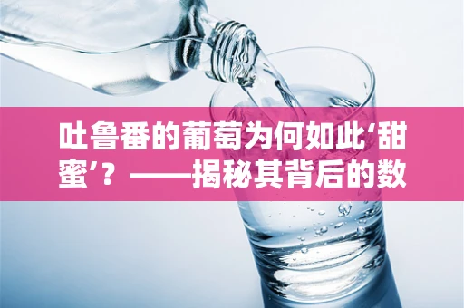 吐鲁番的葡萄为何如此‘甜蜜’？——揭秘其背后的数据密码