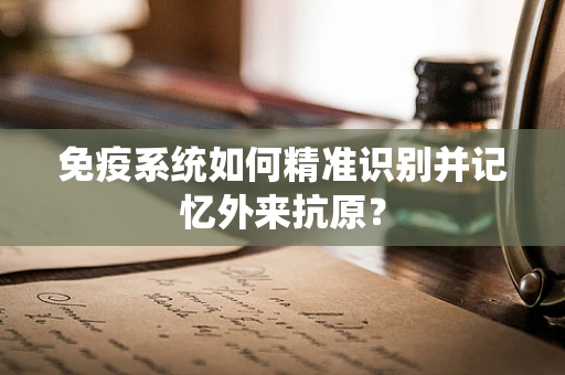 免疫系统如何精准识别并记忆外来抗原？