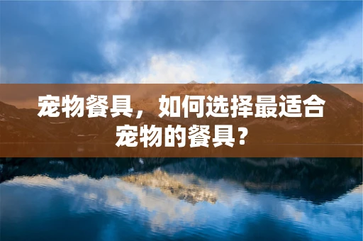 宠物餐具，如何选择最适合宠物的餐具？