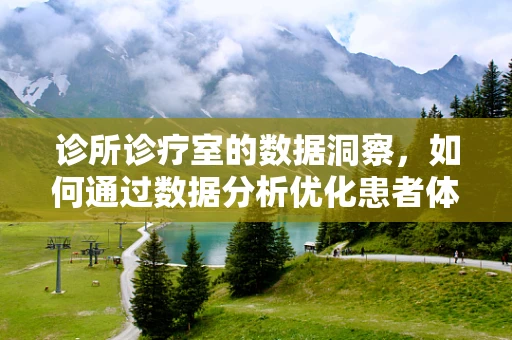诊所诊疗室的数据洞察，如何通过数据分析优化患者体验？