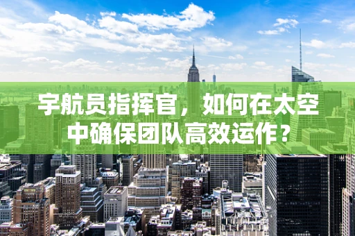 宇航员指挥官，如何在太空中确保团队高效运作？