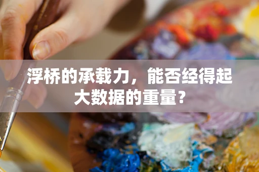 浮桥的承载力，能否经得起大数据的重量？