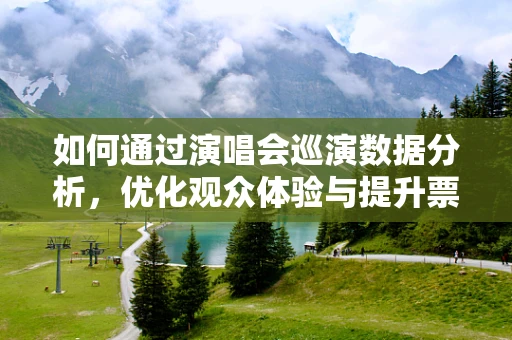 如何通过演唱会巡演数据分析，优化观众体验与提升票房收入？