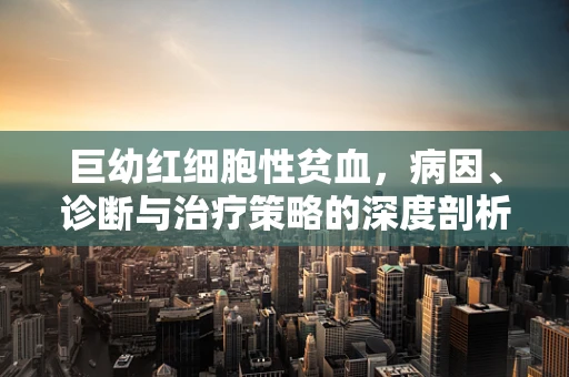 巨幼红细胞性贫血，病因、诊断与治疗策略的深度剖析