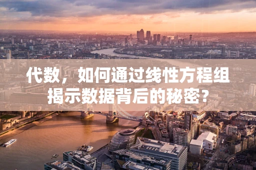 代数，如何通过线性方程组揭示数据背后的秘密？