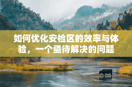 如何优化安检区的效率与体验，一个亟待解决的问题