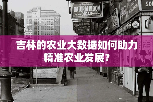 吉林的农业大数据如何助力精准农业发展？