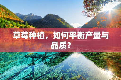 草莓种植，如何平衡产量与品质？