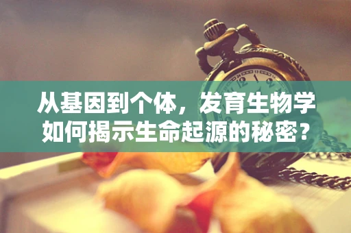 从基因到个体，发育生物学如何揭示生命起源的秘密？