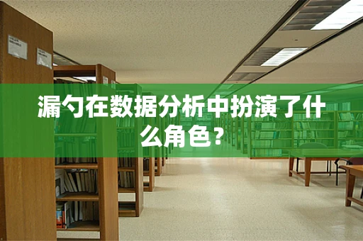 漏勺在数据分析中扮演了什么角色？