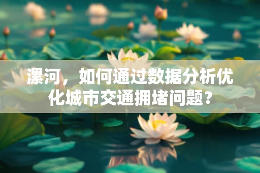 漯河，如何通过数据分析优化城市交通拥堵问题？