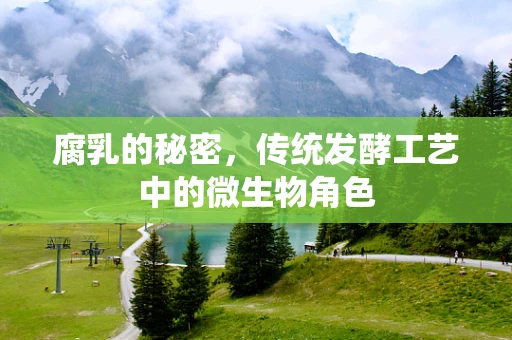 腐乳的秘密，传统发酵工艺中的微生物角色