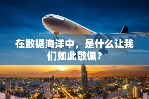 在数据海洋中，是什么让我们如此敬佩？