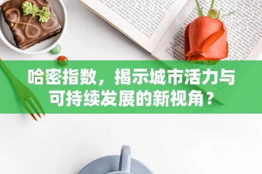 哈密指数，揭示城市活力与可持续发展的新视角？