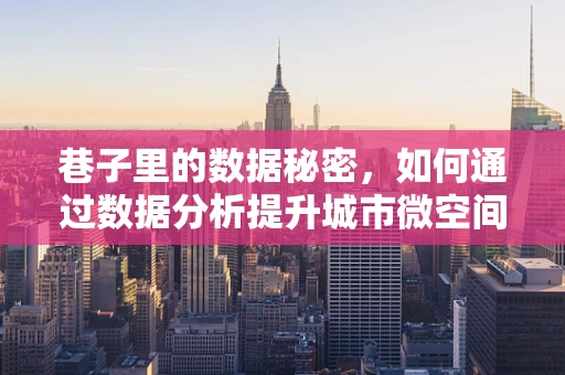 巷子里的数据秘密，如何通过数据分析提升城市微空间活力？