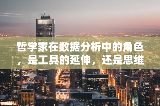 哲学家在数据分析中的角色，是工具的延伸，还是思维的启迪者？
