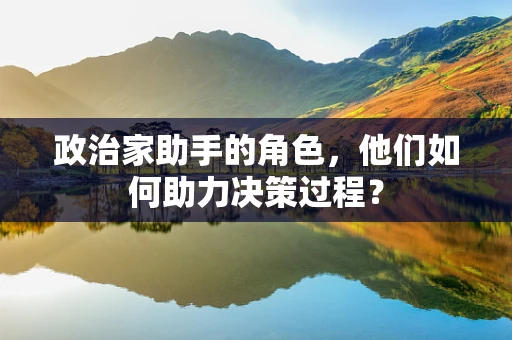 政治家助手的角色，他们如何助力决策过程？