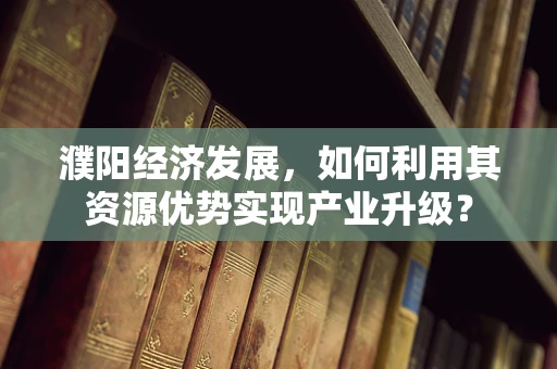 濮阳经济发展，如何利用其资源优势实现产业升级？