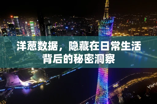 洋葱数据，隐藏在日常生活背后的秘密洞察