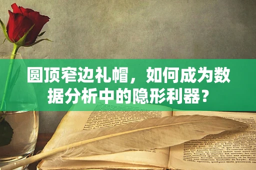 圆顶窄边礼帽，如何成为数据分析中的隐形利器？