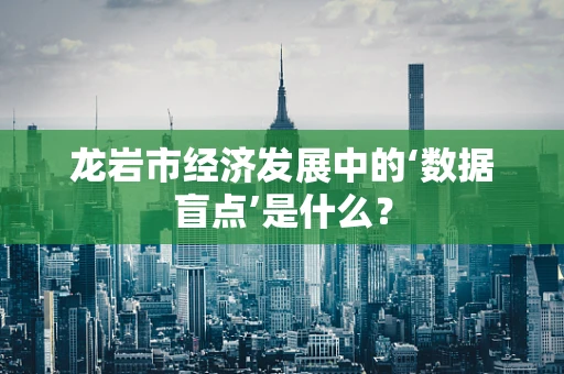 龙岩市经济发展中的‘数据盲点’是什么？